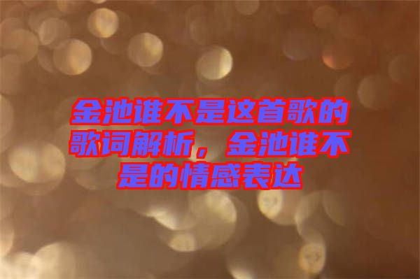 金池誰(shuí)不是這首歌的歌詞解析,金池誰(shuí)不是的情感表達(dá)
