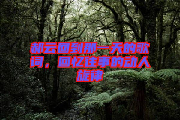 郝云回到那一天的歌詞，回憶往事的動人旋律
