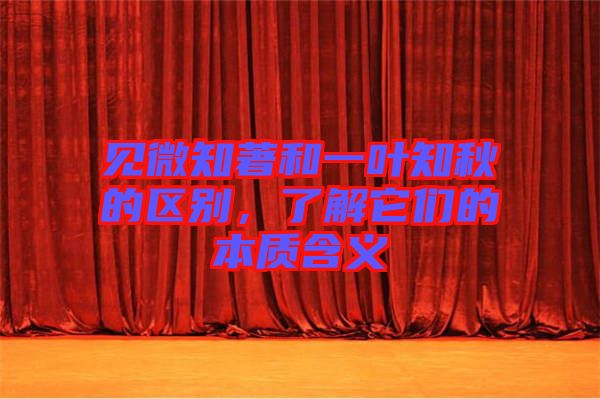 見微知著和一葉知秋的區別,了解它們的本質含義