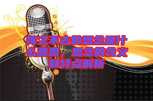 揮之不去的思念是什么意思,思念的含義和特點解析