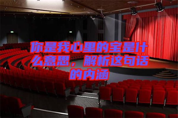 你是我心里的寶是什么意思,解析這句話的內涵