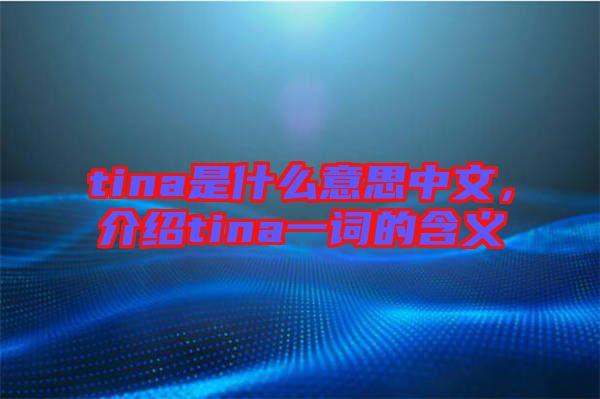 tina是什么意思中文,介紹tina一詞的含義