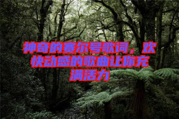 神奇的賽爾號歌詞,歡快動(dòng)感的歌曲讓你充滿活力