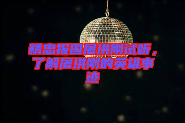 精忠報(bào)國屠洪剛試聽,了解屠洪剛的英雄事跡