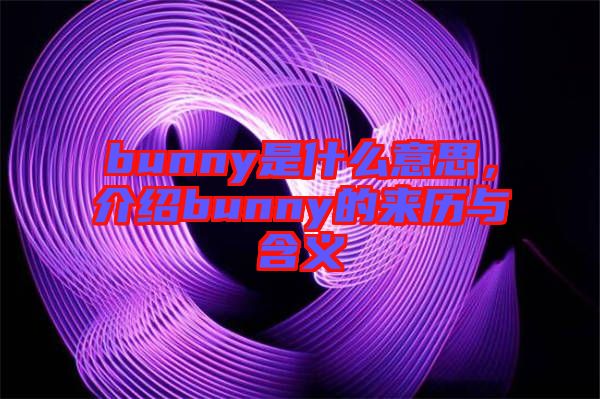 bunny是什么意思,介紹bunny的來歷與含義