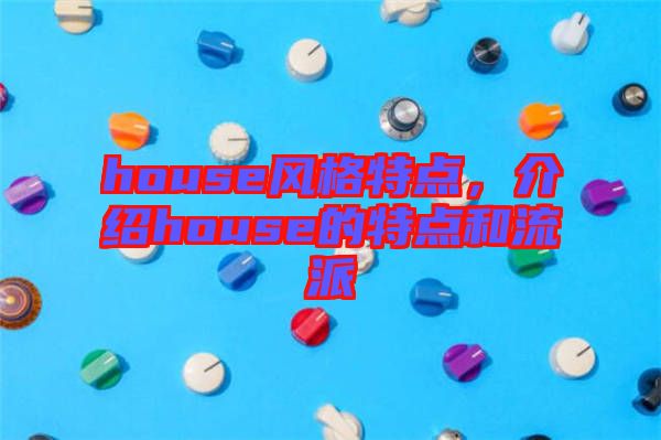house風格特點,介紹house的特點和流派