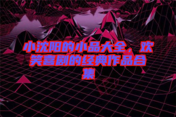 小沈陽的小品大全,歡笑喜劇的經典作品合集