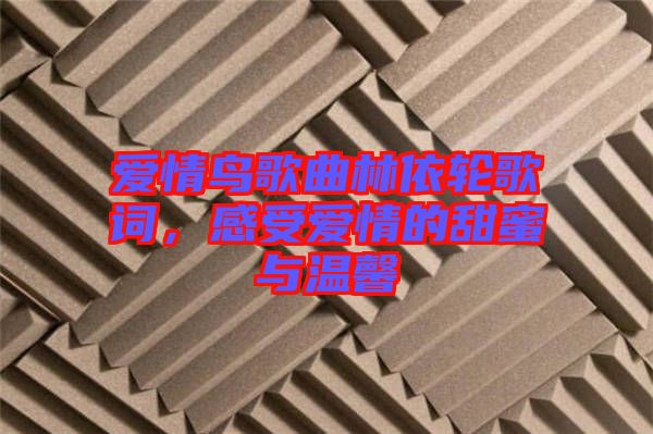 愛情鳥歌曲林依輪歌詞，感受愛情的甜蜜與溫馨