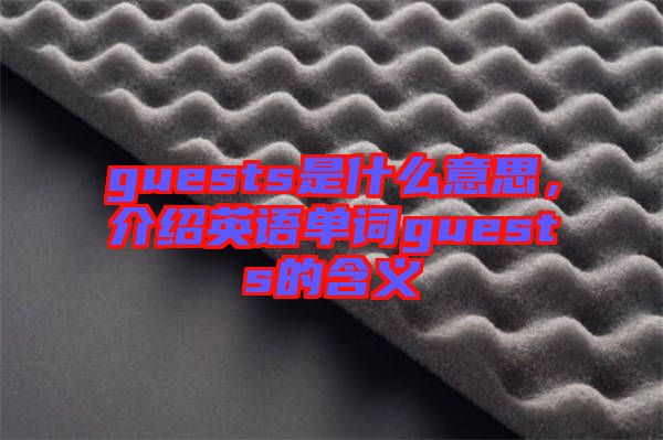 guests是什么意思,介紹英語單詞guests的含義