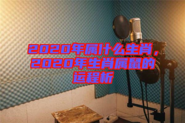 2020年屬什么生肖,2020年生肖屬鼠的運程析
