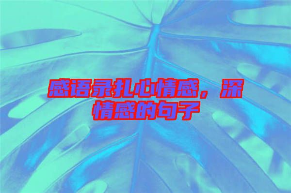 感語錄扎心情感,深情感的句子