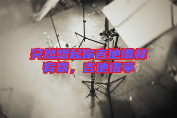 突然想起你吉他譜林宥嘉，吉他譜享