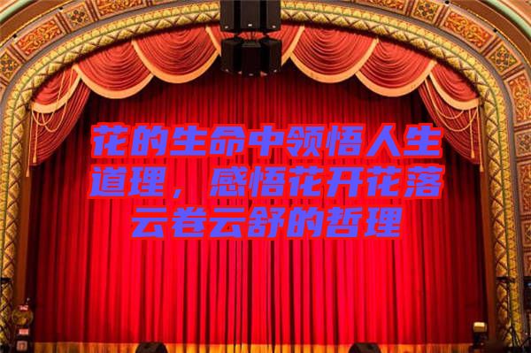 花的生命中領(lǐng)悟人生道理,感悟花開(kāi)花落云卷云舒的哲理
