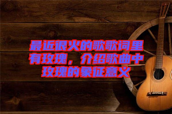 最近很火的歌歌詞里有玫瑰,介紹歌曲中玫瑰的象征意義