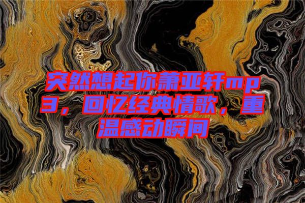 突然想起你蕭亞軒mp3,回憶經(jīng)典情歌,重溫感動(dòng)瞬間