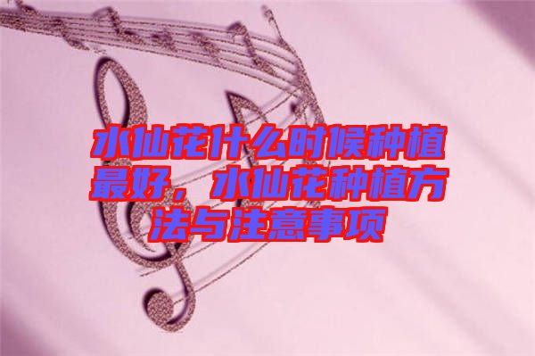 水仙花什么時候種植最好,水仙花種植方法與注意事項
