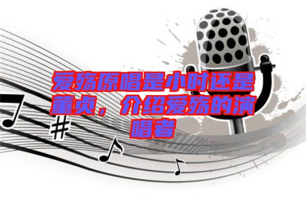 愛殤原唱是小時還是董貞,介紹愛殤的演唱者