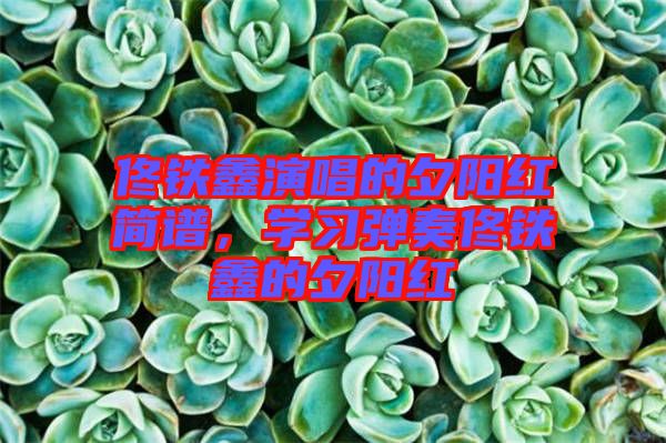 佟鐵鑫演唱的夕陽紅簡譜,學習彈奏佟鐵鑫的夕陽紅