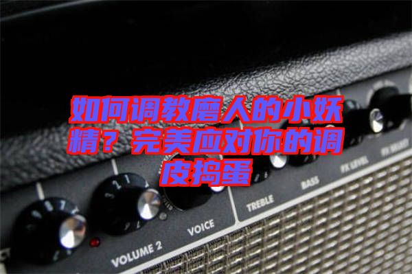 如何調(diào)教磨人的小妖精?完美應(yīng)對你的調(diào)皮搗蛋