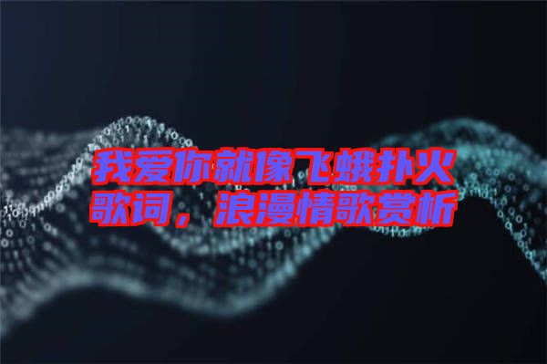 我愛你就像飛蛾撲火歌詞,浪漫情歌賞析