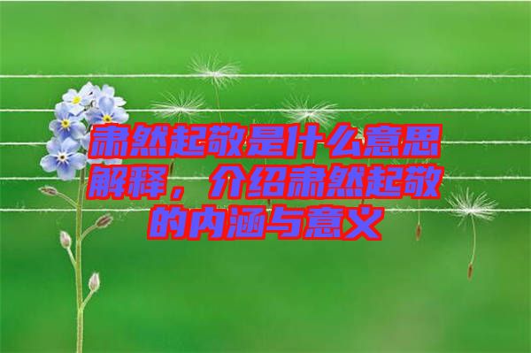 肅然起敬是什么意思解釋,介紹肅然起敬的內涵與意義