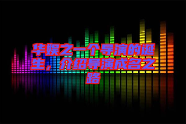 華娛之一個導演的誕生,介紹導演成名之路