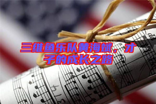三維魚樂隊黃海斌,才子的成長之路