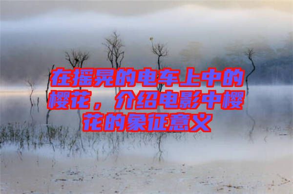 在搖晃的電車上中的櫻花,介紹電影中櫻花的象征意義