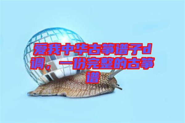 愛我中華古箏譜子d調,一份完整的古箏譜
