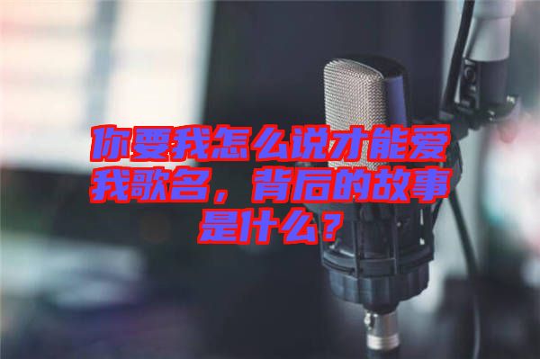 你要我怎么說才能愛我歌名,背后的故事是什么?