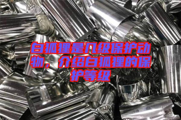 白狐貍是幾級(jí)保護(hù)動(dòng)物,介紹白狐貍的保護(hù)等級(jí)