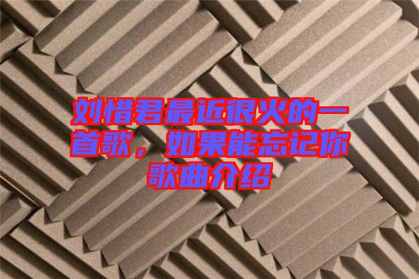 劉惜君最近很火的一首歌,如果能忘記你歌曲介紹