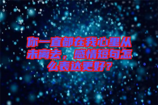 你一直都在我心里從未離去,感情短句怎么表達更好?