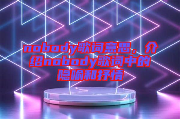 nobody歌詞意思,介紹nobody歌詞中的隱喻和抒情