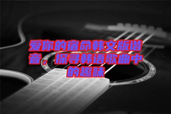 愛(ài)你的宿命韓文版諧音,探尋韓語(yǔ)歌曲中的趣味
