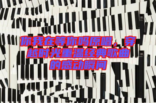 你我在等你嗎原唱,穿越時光重溫經典歌曲的感動瞬間