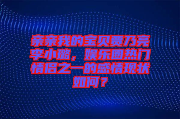 親親我的寶貝賈乃亮李小璐,娛樂圈熱門情侶之一的感情現狀如何?