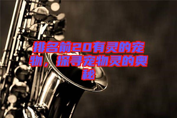 排名前20有靈的寵物,探尋寵物靈的奧秘