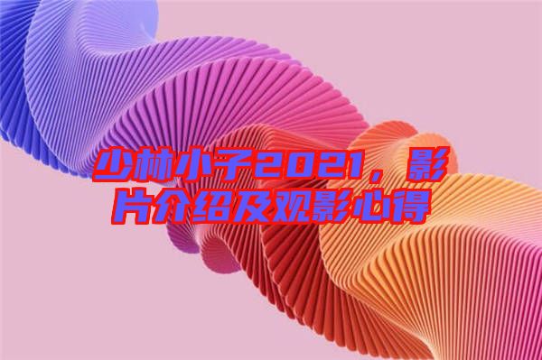 少林小子2021，影片介紹及觀影心得