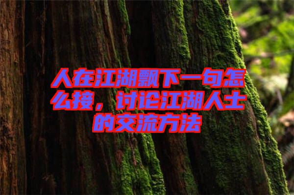 人在江湖飄下一句怎么接，討論江湖人士的交流方法