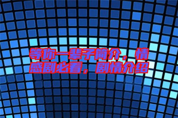 等你一輩子簡介,情感劇必看,劇情介紹