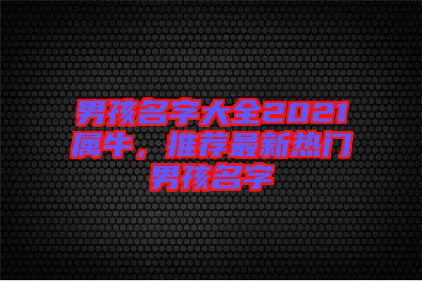 男孩名字大全2021屬牛,推薦最新熱門男孩名字