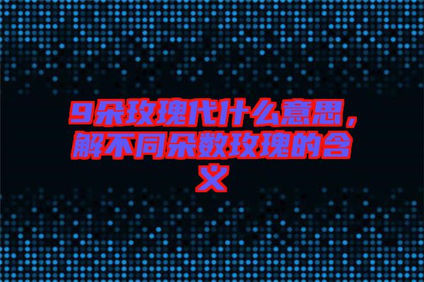 9朵玫瑰代什么意思,解不同朵數玫瑰的含義