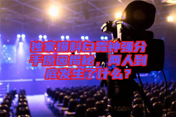 獨家爆料白霖鐘強分手原因揭秘,兩人到底發生了什么?