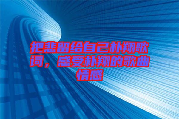 把悲留給自己樸翔歌詞,感受樸翔的歌曲情感
