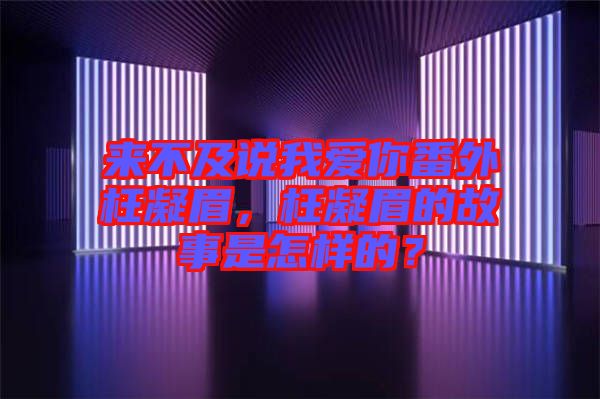 來不及說我愛你番外枉凝眉,枉凝眉的故事是怎樣的?