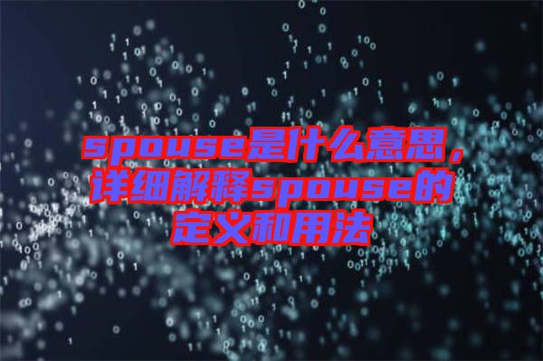 spouse是什么意思,詳細解釋spouse的定義和用法