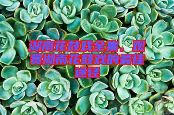 湖南花鼓戲全集,觀賞湖南花鼓戲的最佳途徑