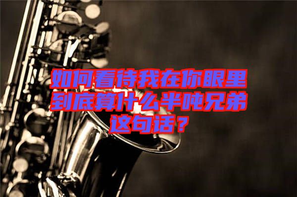 如何看待我在你眼里到底算什么半噸兄弟這句話?