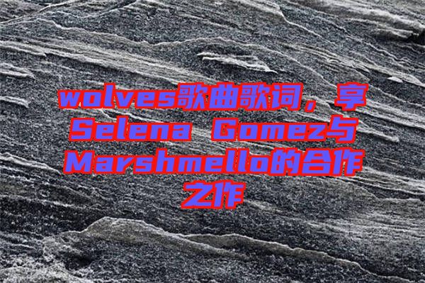 wolves歌曲歌詞，享Selena Gomez與Marshmello的合作之作